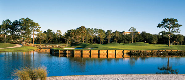 Golf bridge